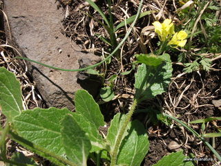 ntana Paradiso-19-04-2022 13-30-11